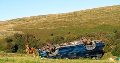 Crime gangs having field day as rural felonies cost Scots economy £1.8m a year