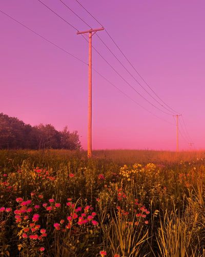 ‘When the sun sets, there is this incredible pink’: Thomas Jordan’s best phone picture