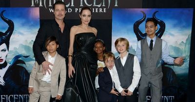 Inside Angelina Jolie and Brad Pitt's pre-split life - Spoilt kids, a nanny each, and rows