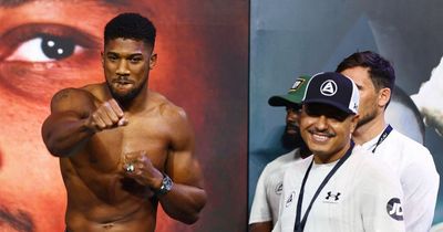 Anthony Joshua's net worth after earning £33million for Oleksandr Usyk fight