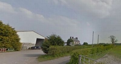 Two horses tragically die after fire at barn on farm