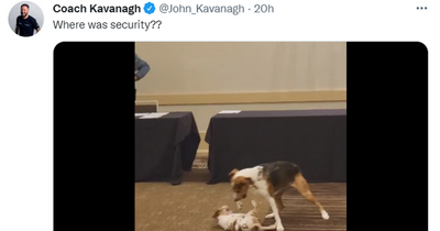 John Kavanagh cracks hilarious joke as 'fight' breaks out at UFC 278 weigh ins
