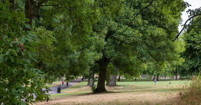 St George Park ranked the best picnic spot in Bristol