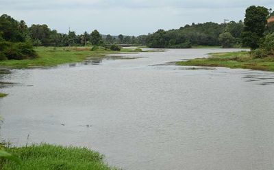 River relinking initiative in Kottayam completes five years
