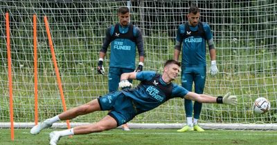 David Seaman fires Erling Haaland warning for Nick Pope ahead of Newcastle United vs Manchester City