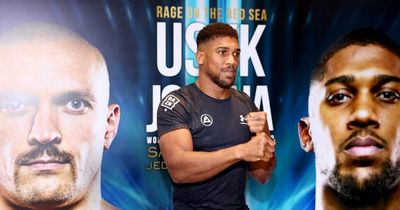 Anthony Joshua net worth compared to Tyson Fury after Oleksandr Usyk rematch