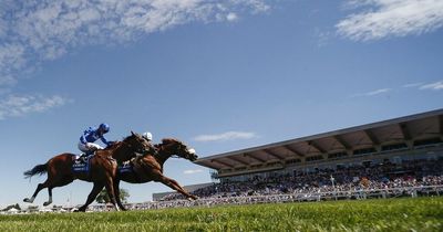 Sunday horse racing tips and Nap from Newsboy for Sandown, Brighton and Yarmouth