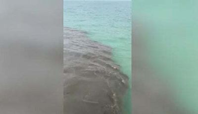 Two beaches reopen after sewage pumped into south coast sea