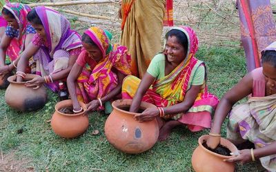 Women farmers of Bengal’s Jhargram reap fortunes with organic rice