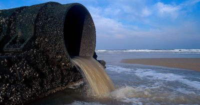 'Look on the bright side of sea sewage - we'll soon have a brown bridge to Europe'
