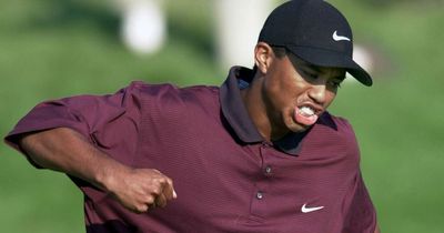 Tiger Woods clubs used in famous 'Tiger Slam' sold for eye-watering sum at auction