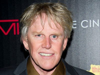 Gary Busey charged with sex offences at New Jersey convention