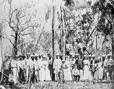 Two sides of the wire: how the Overland Telegraph brought colonial triumph and Aboriginal devastation