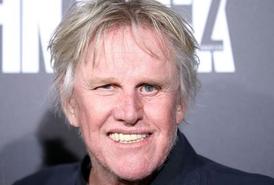 Gary Busey faces sexual offense charges