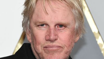 Gary Busey charged with sex offenses at Monster-Mania Con in New Jersey