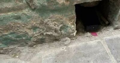 Spain holidays: Irish tourists warned as 'creep' sets up hidden cameras to film people peeing