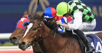 Newcastle trainer Todd Howlett eyes another Midway with Scorched Land
