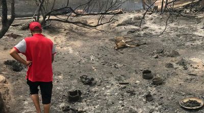 Expert: Algeria Fires Burned UNESCO-listed Park