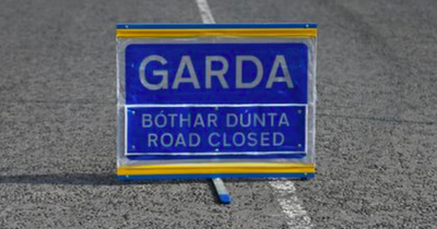 Teenager dies on road at 4am as gardai launch probe in Co Limerick