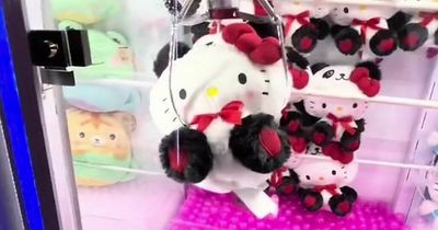 Man claims we’ve been playing claw machines wrong - and shares top trick to win