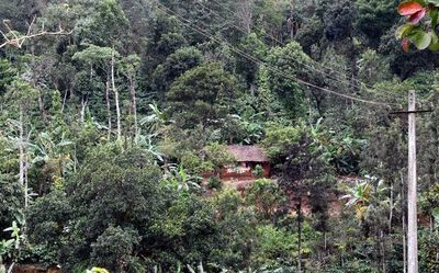 Activists slam politicians’ opposition to Western Ghats ESA draft notification