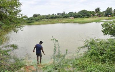 Maharashtra: Five of family drown in pond in Nanded