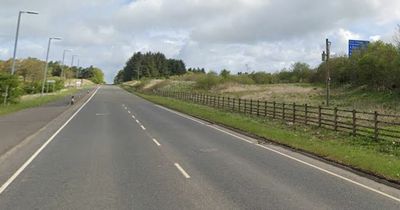 Driver, 73, dies after horror van crash on A77 near Newton Mearns