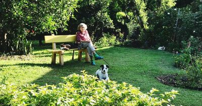 'My neighbour wants to sit with her dog in my garden - even though we live near a park'