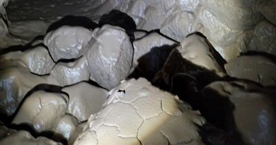 Newly discovered ancient chamber in north Dublin is damaged by vandals