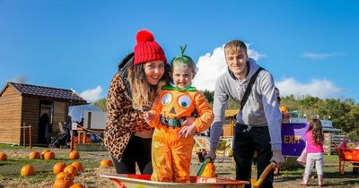 Popular M&D's Theme Park Pumpkin Outdoor Festival to return this October