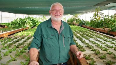 Doomadgee's flourishing community garden helps residents combat rising food costs