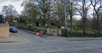 'Risk to public safety' trees near school in Nottingham