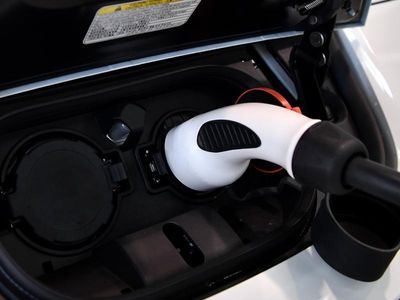 Ampol backs EVs, wary on efficiency rules