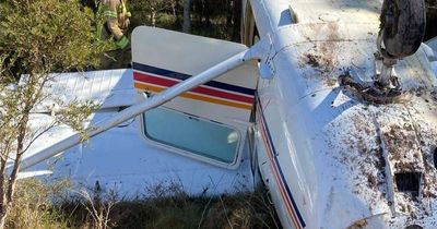Man 'incredibly lucky' to survive plane crash on Central Coast