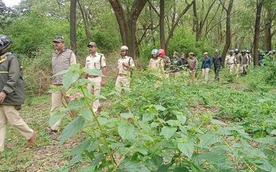 Leopard sighted near Belagavi golf course twice, holiday for schools