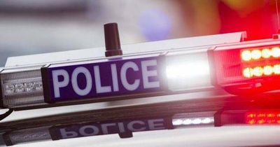 Man charged after pursuit, alleged attempted carjacking in Maitland