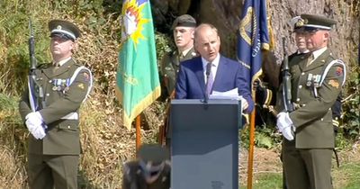 Soldier collapses in heat behind Micheal Martin during Beal na Blath speech