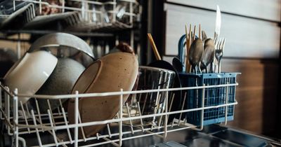 People could be paid to use their dishwashers or tumble dryers overnight