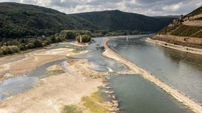 Rhine water levels on the rise after drought crippled shipping capacity