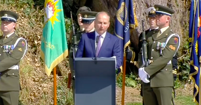 Soldier collapses during Micheal Martin's televised address marking 100th anniversary of Michael Collins' death