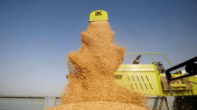 Egypt Says Deal for Indian Wheat Stands, but Not Shipped Yet