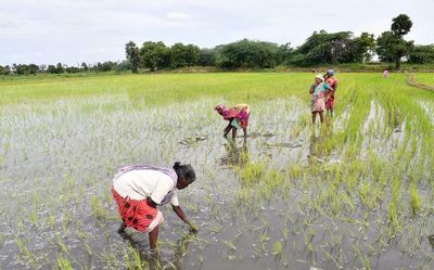 Watch | Why are villagers against Chennai’s second airport at Parandur?