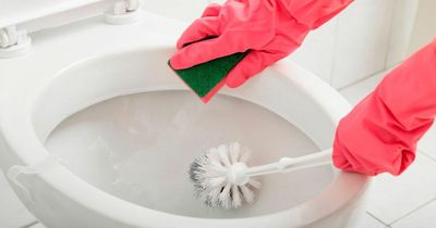 Expert shares ‘golden rule’ for getting your toilet clean using just two household ingredients