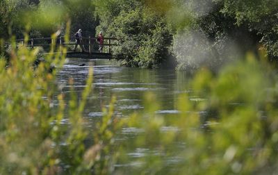 Government ‘has head in the sand’ over sewage pumped on to UK’s beaches – Labour