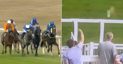 Punter throws pint towards horses during race in shocking Yarmouth scenes