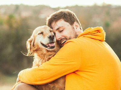 Dogs ‘cry happy tears’ when owners come home, study finds