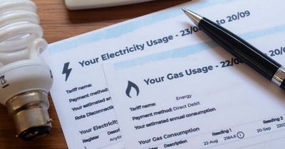 The measures the Government expects you to follow to avoid soaring energy bills including hours not to use appliances