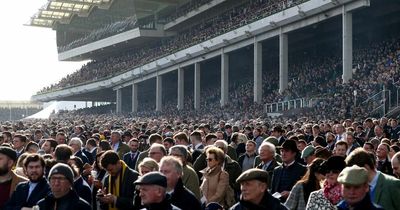 Jump racing fans could soon be able to make Cheltenham their final resting place