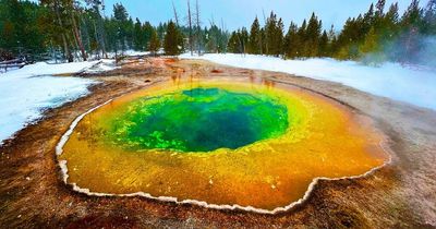 'Grizzly bears and geysers - the USA's Yellowstone is an epic family road trip'