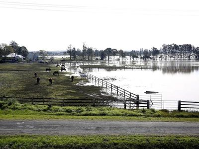Federal MP demands NSW farmer flood help